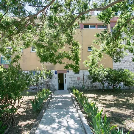 Uncle Albertʹs * تروغير